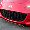 Spyder Grille (Without Lights) - ND (2015-Current)